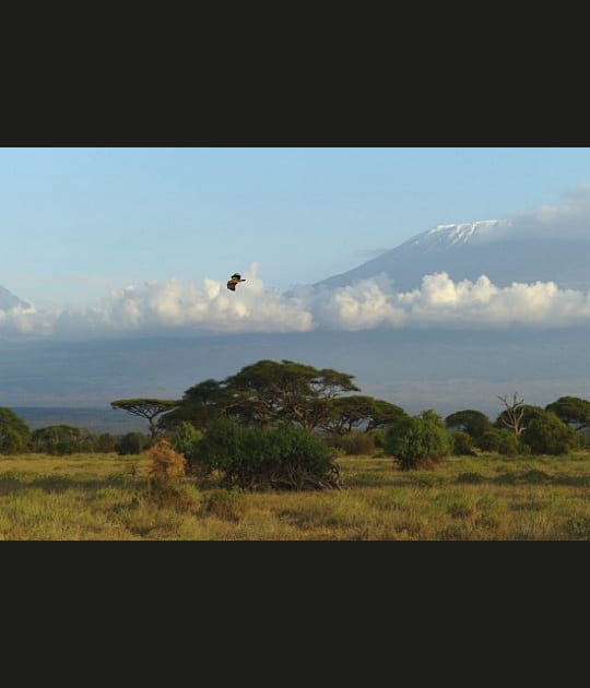 Les volcans enneig&eacute;s du Kilimandjaro