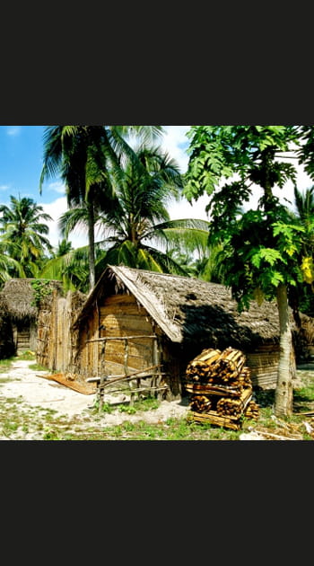 Zanzibar, une &icirc;le &eacute;pic&eacute;e