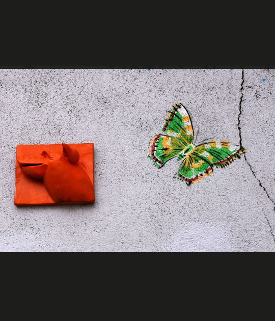 Cochon versus papillon