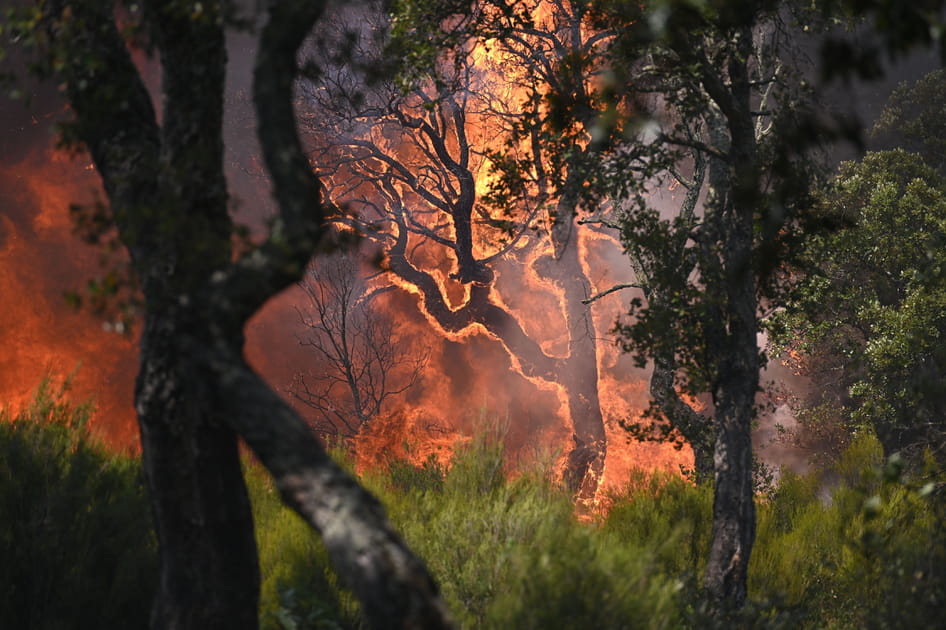 Les images du &quot;m&eacute;ga-feu&quot; dans le Var