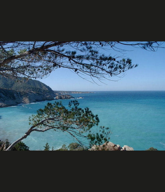 Bleu de mer
