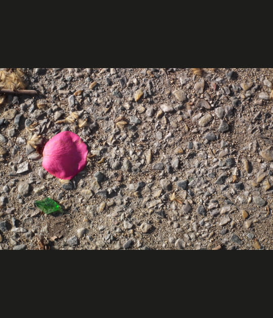 Fleur abstraite
