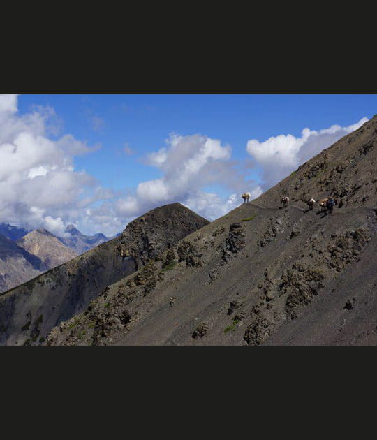 A travers la piste
