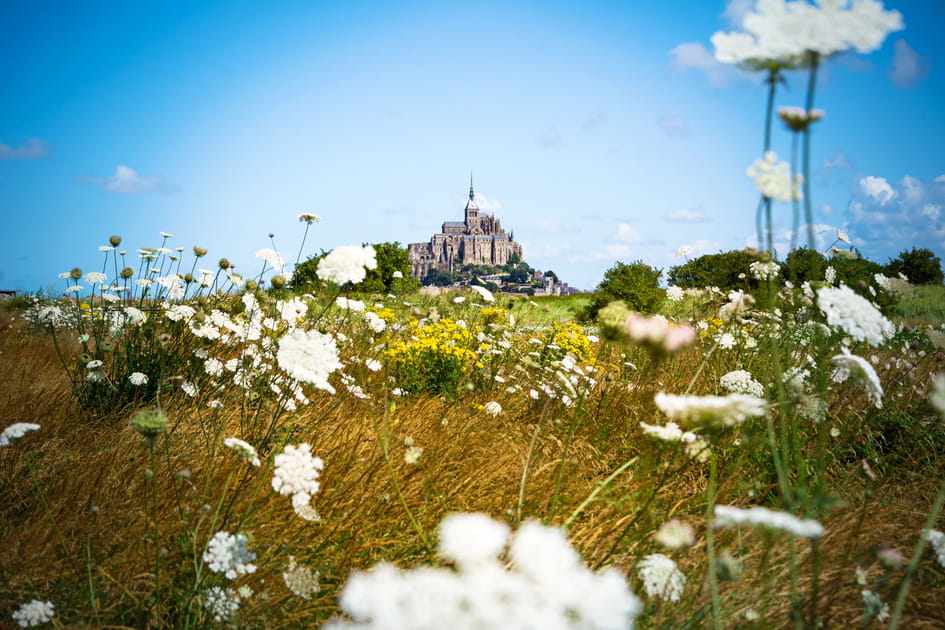 Le&nbsp;Mont-Saint-Michel, la &quot;merveille&quot; de Normandie