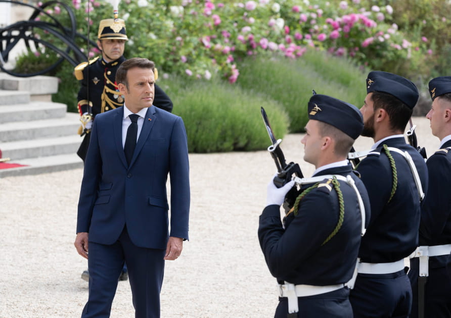 Revue de troupes