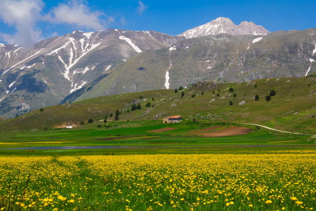 Le parc national des Abruzzes