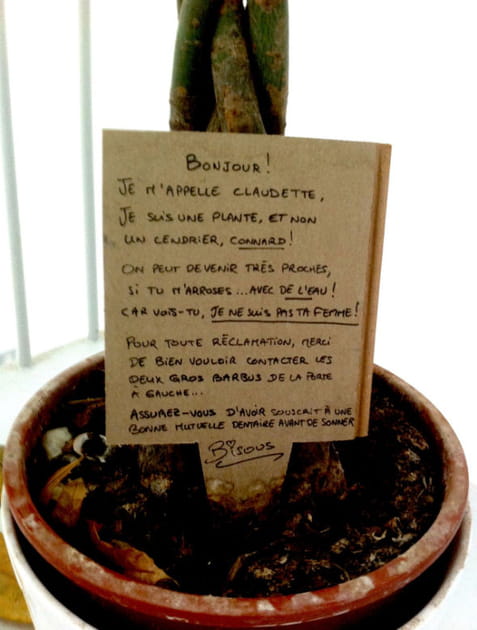 La plante Claudette vous parle