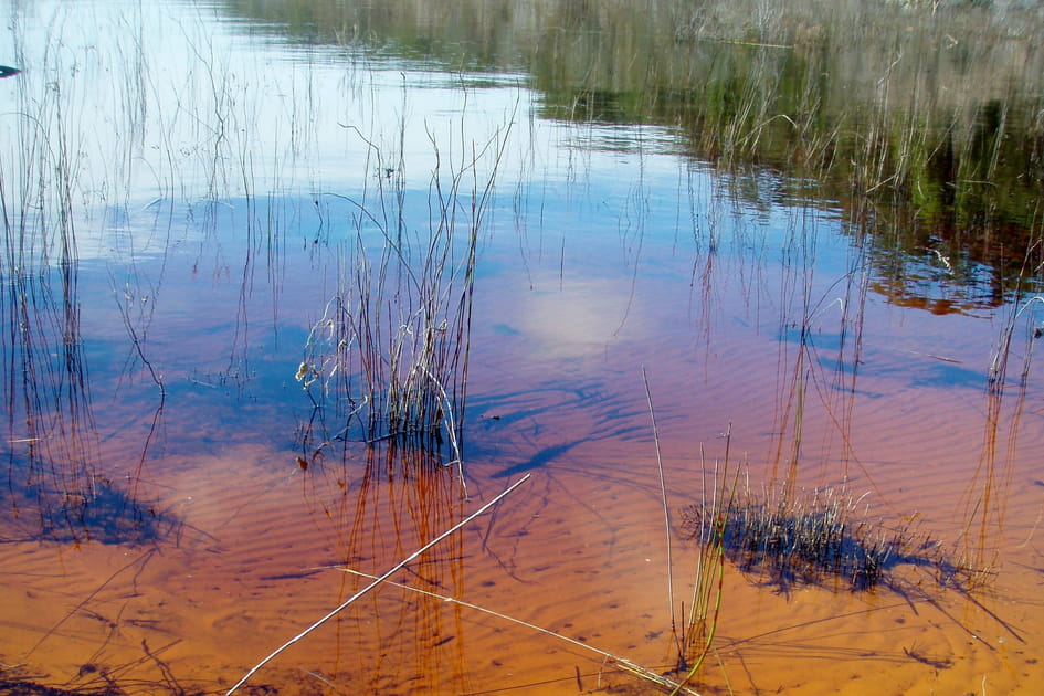 Le lac Boomanjin en Australie