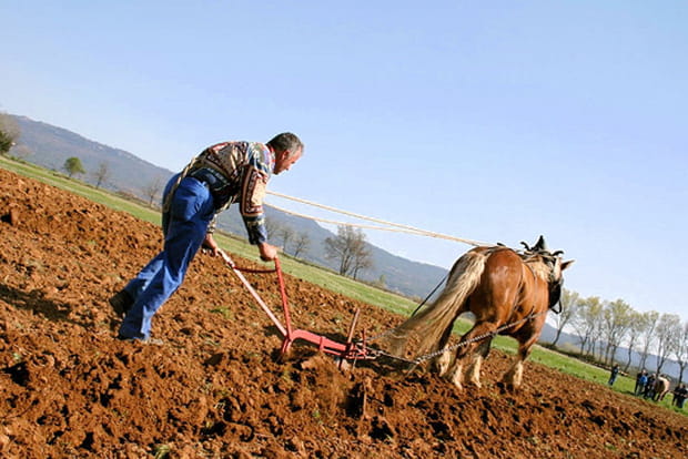25 métiers qui ne datent pas d'hier
