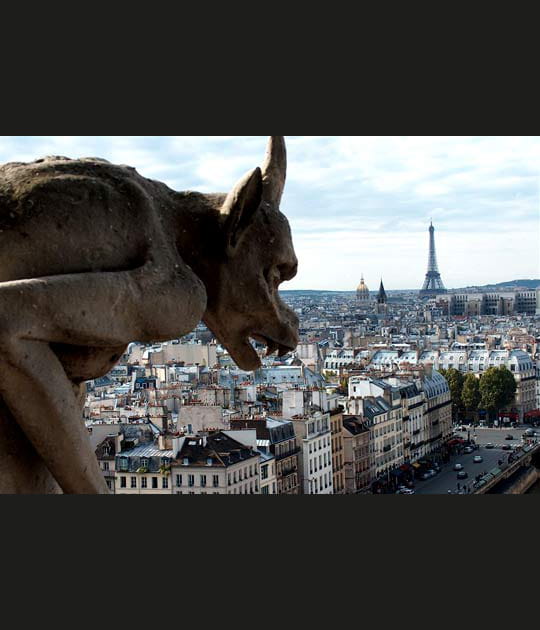 &quot;Vue de Notre-Dame&quot;