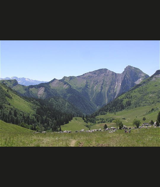 Le P&eacute;cloz