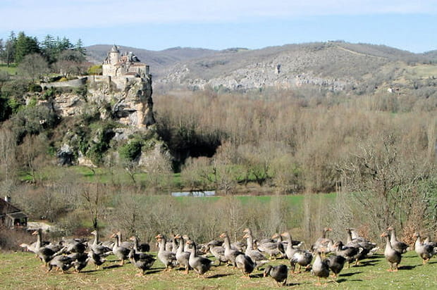 La campagne de Sarlat