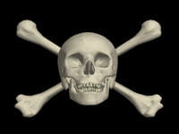 le crâne est le symbole de skull & bones.