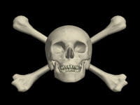 le crâne est le symbole de skull & bones. 