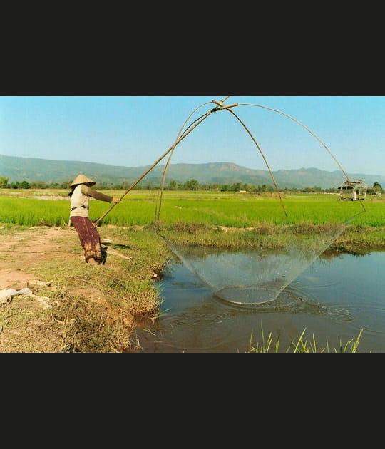 Laos&nbsp;: retour aux sources