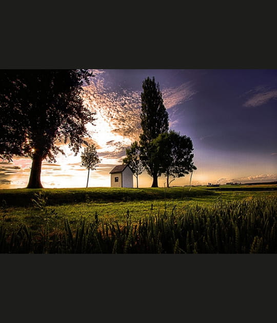 Contre-jour