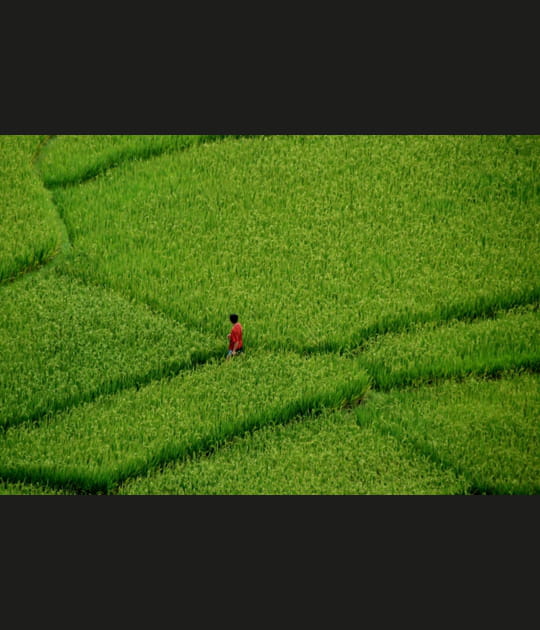 La femme en rouge