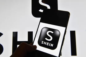 Poup&eacute;es pour p&eacute;dophiles sur Shein&nbsp;: le gouvernement a-t-il voulu couvrir l'enseigne&nbsp;?
