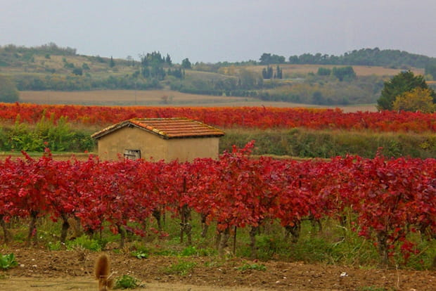 Cabane de vigneron