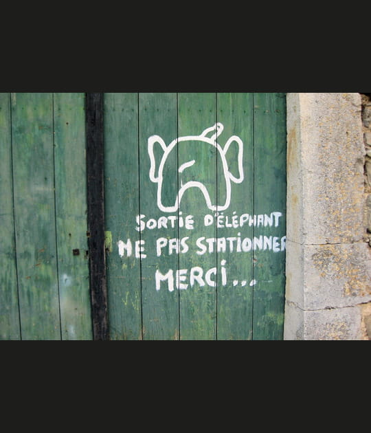 Sortie d'&eacute;l&eacute;phant