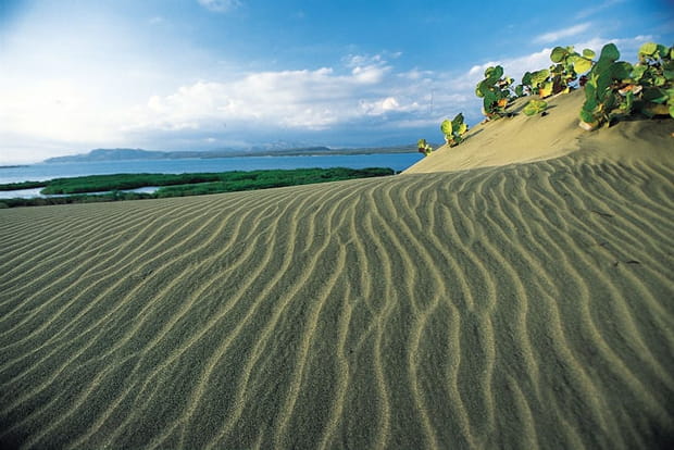 Les dunes de Bani