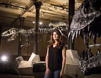 La vérité sur le T-Rex