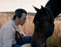 The Rider