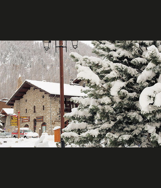 Mon beau sapin