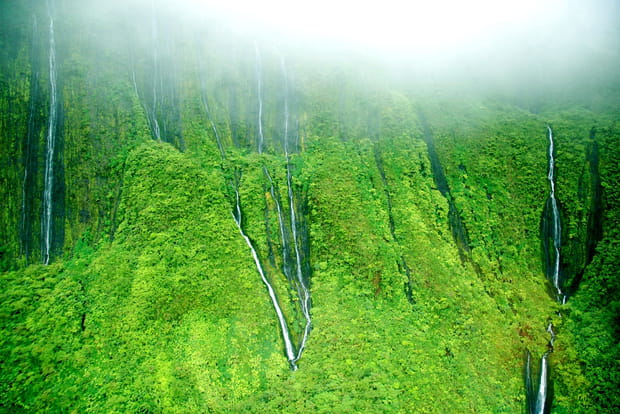 L'endroit le plus humide : le mont Waialeale