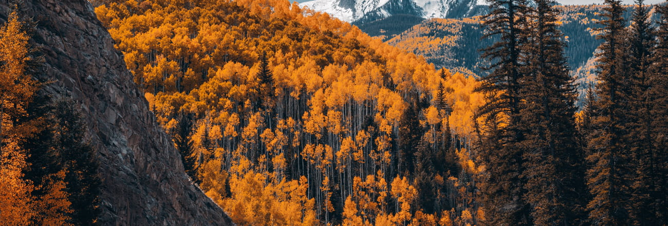 Road-trip automnal au Colorado, quand l'ouest américain s'embrase