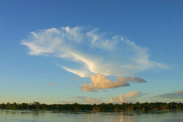Au Pérou, dans la forêt amazonienne