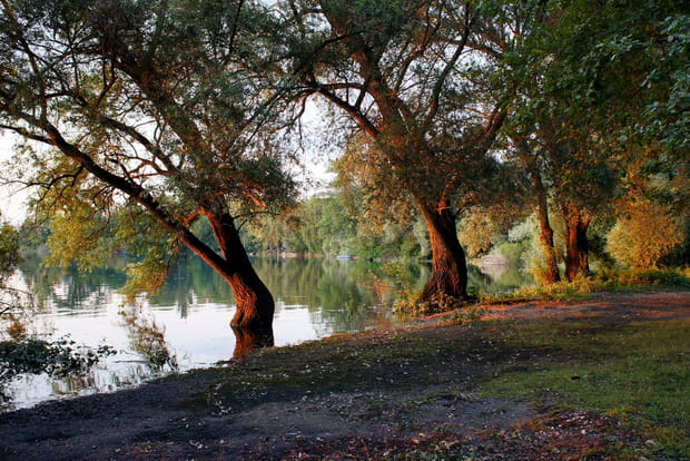 Sur les bord du Rhin