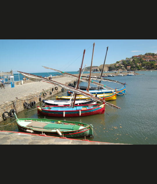 Les barques catalanes