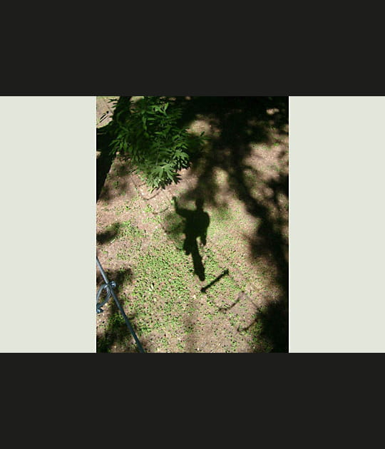 Aventure