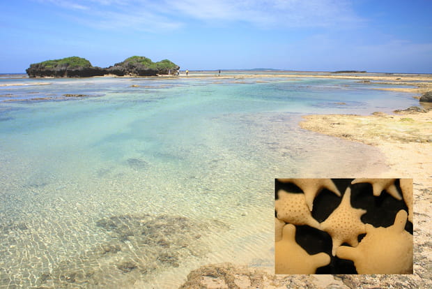Hoshizuna no Hama, une plage étoilée