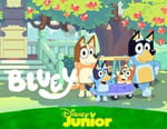 Bluey