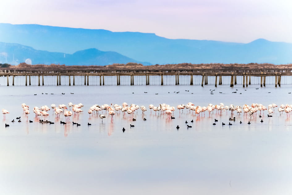 Le parc naturel du delta de l'&Egrave;bre