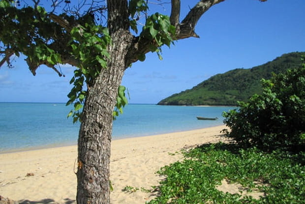 On pique une tête ?