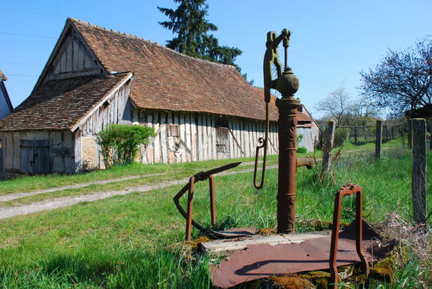 Les fermes solognotes, gardiennes d'une tradition