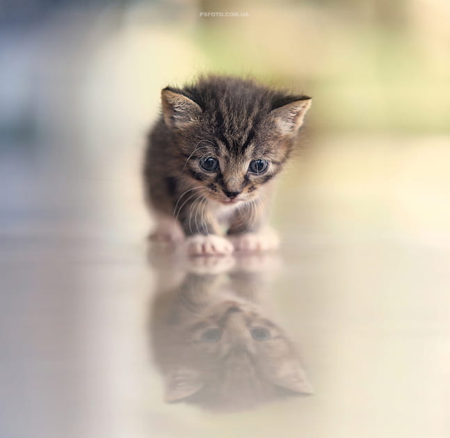 A petits pas