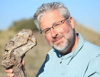 Notre part animale : Le reptile en nous