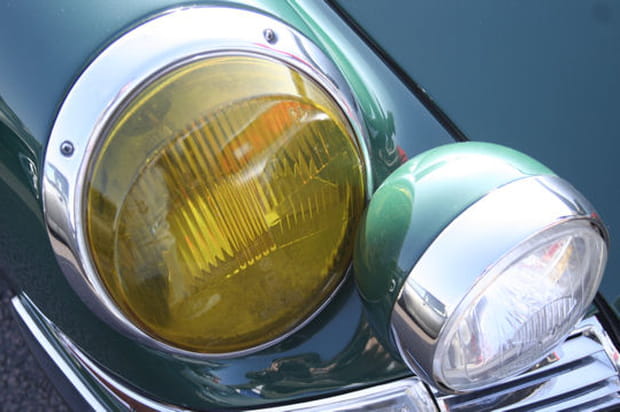 Une bouille de grenouille