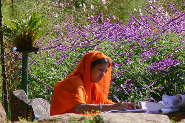 Dans le jardin botanique