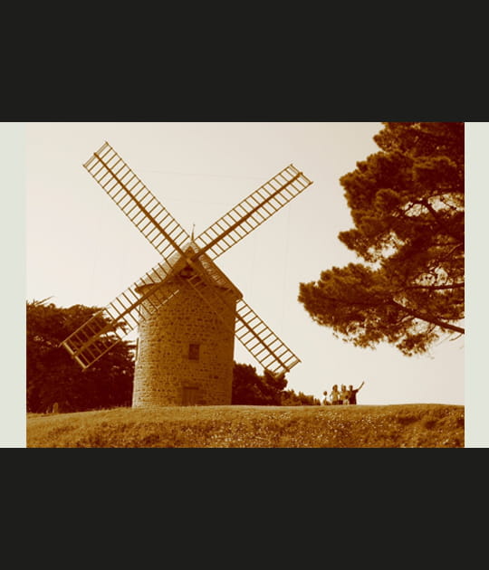 Moulin