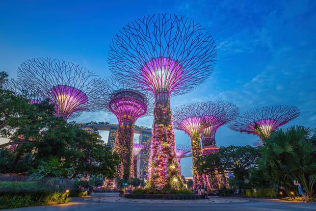 Les Supertrees