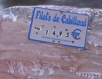 Mollo sur le cabillaud ?