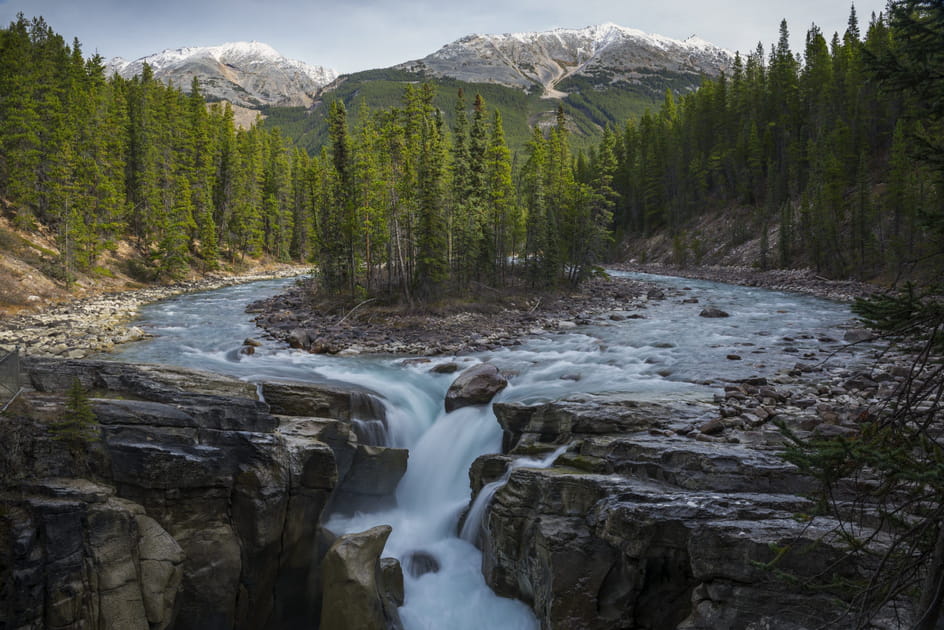 Les chutes de Sunwapta