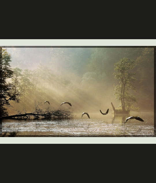 Par-dessus l'&eacute;tang