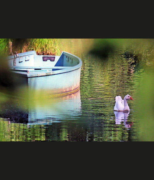 Barque sur l'eau