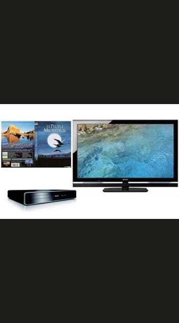 Priorit&eacute; image&nbsp;: un beau t&eacute;l&eacute;viseur Sony Bravia